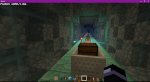 Minecraft 13.01.2021 13_15_30.png